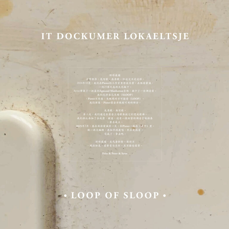 New album: It Dockumer Lokaeltsje